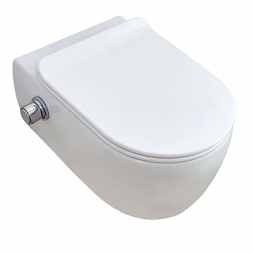 wandcloset-easy-flush-rimfree-standaard-met-bidet